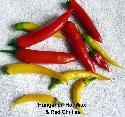 Recipe Picture