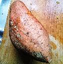 Recipe Picture