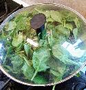 Recipe Picture