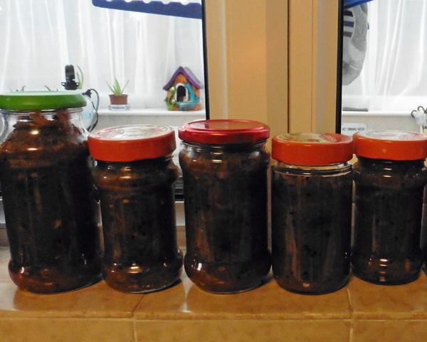 Apple (or Other Fruit) Chutney, My Father’s 