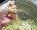 Recipe Picture