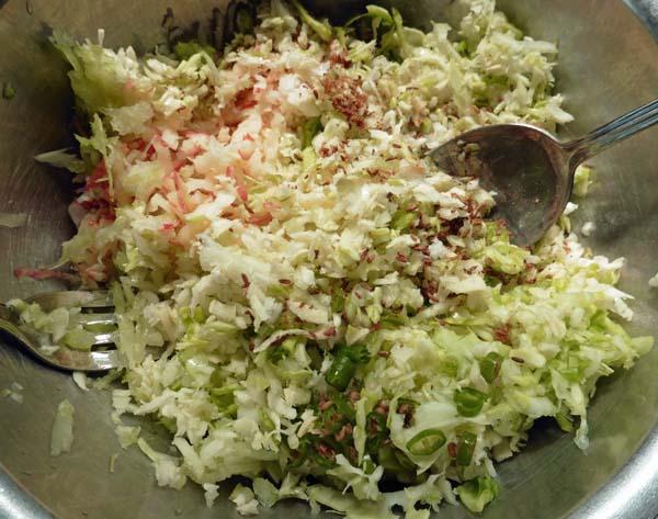 Coleslaw - 1, Indian Cabbage & Carrot Salad