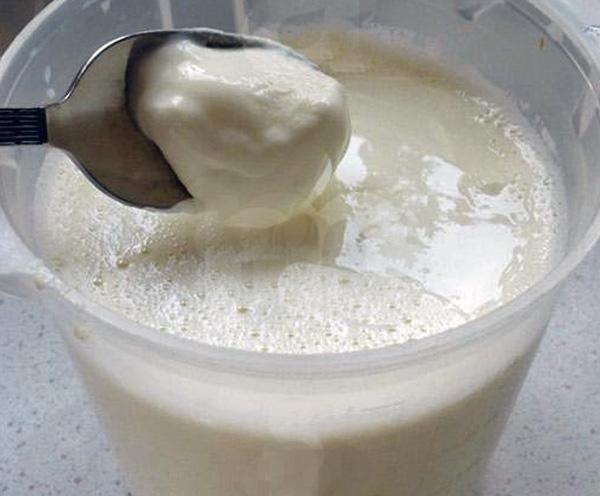 Yoghurt, How to Make at Home?