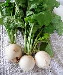 Recipe Picture