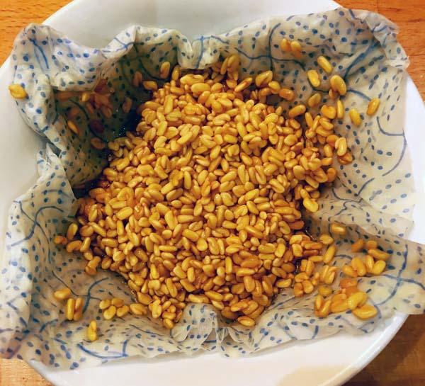 Fenugreek (Methi) Seeds Sprouts, How To