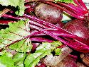 Recipe Picture