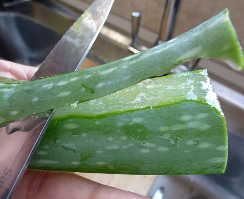 Aloe Vera Dry Curry - picture
