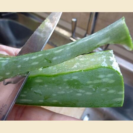 Aloe Vera Dry Curry