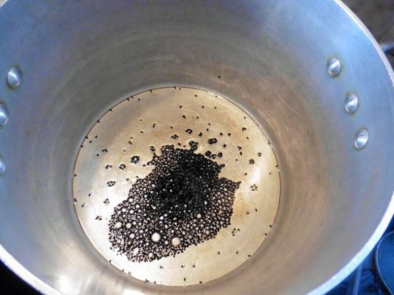 Apple (or Other Fruit) Chutney - picture