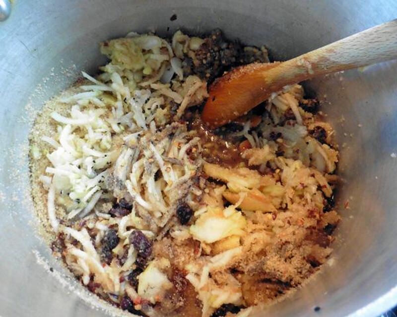 Apple (or Other Fruit) Chutney - picture
