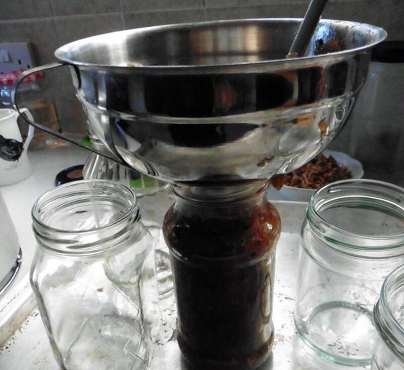Apple (or Other Fruit) Chutney - picture