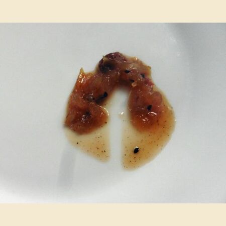 Apple (or Other Fruit) Chutney