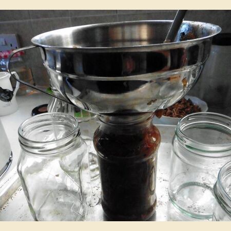 Apple (or Other Fruit) Chutney