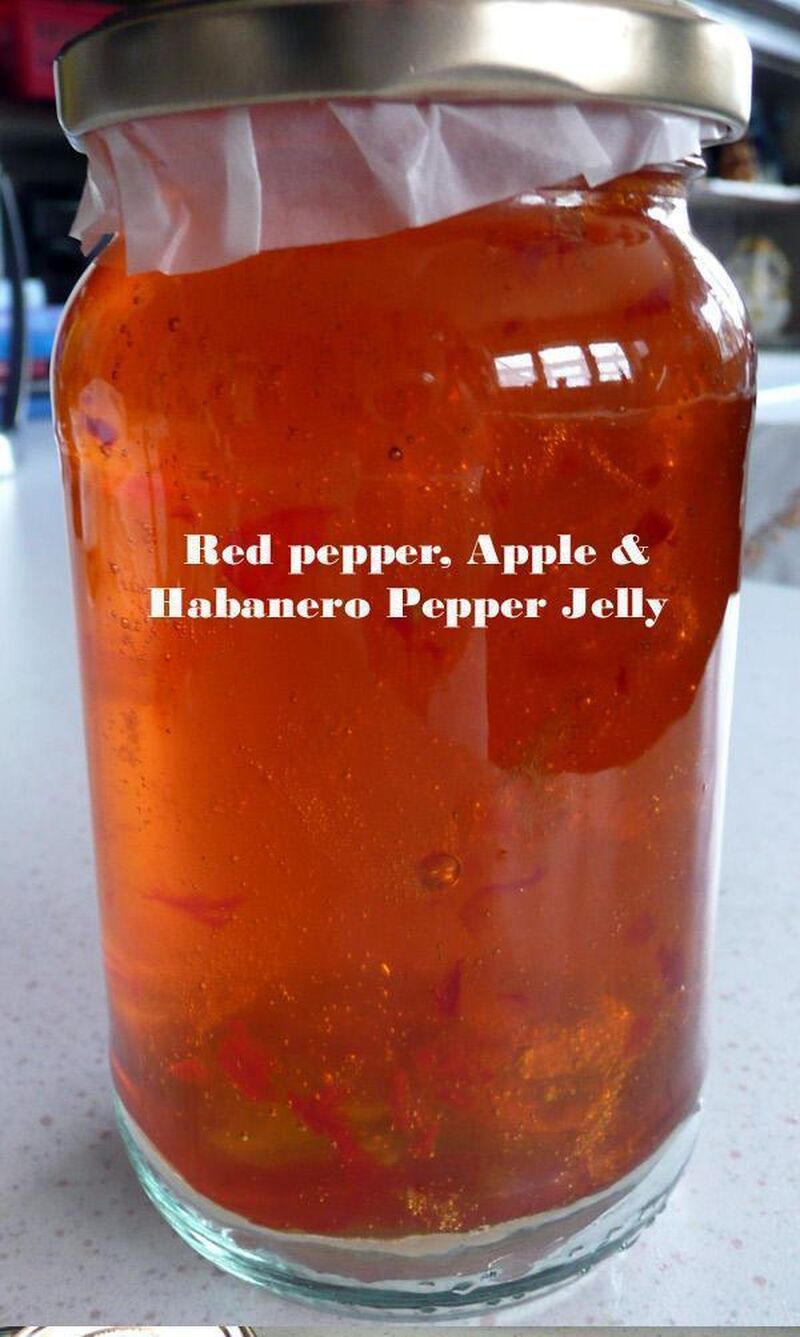 Apple, Sweet Red Pepper and Habanero Chilli Jelly - picture