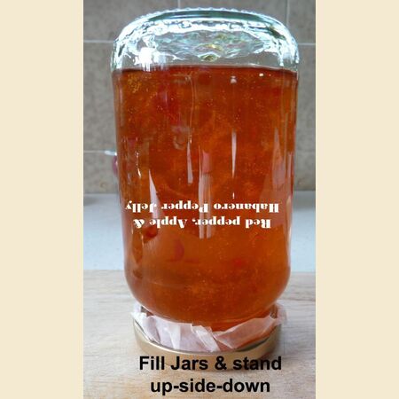 Apple, Sweet Red Pepper and Habanero Chilli Jelly