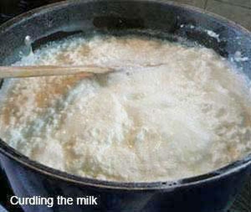Bengali Rasgulla - Sweet Paneer (Indian Cheese) Balls in Syrup 1 - picture