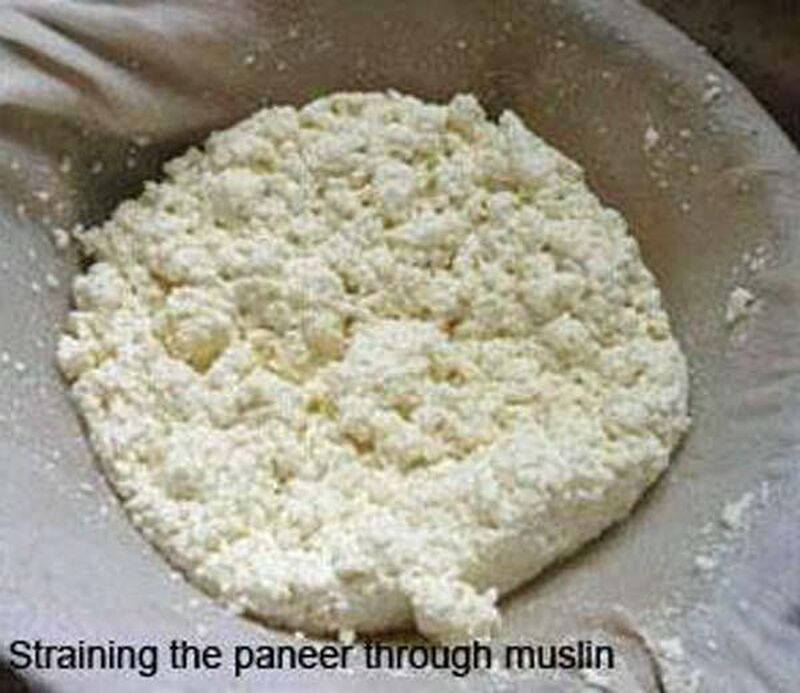 Bengali Rasgulla - Sweet Paneer (Indian Cheese) Balls in Syrup 1 - picture
