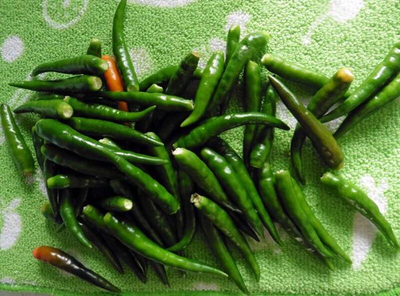 Chillies Pickled in Vinegar - picture