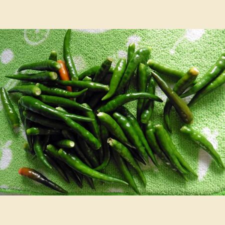 Chillies Pickled in Vinegar