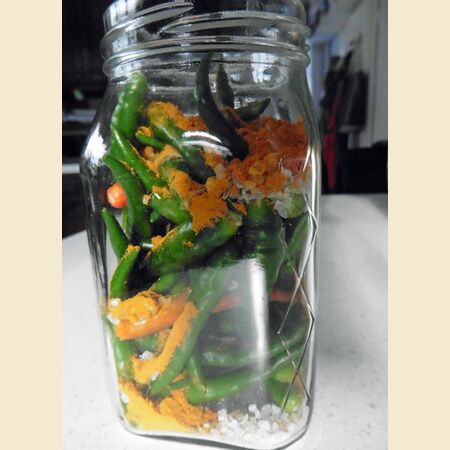 Chillies Pickled in Vinegar