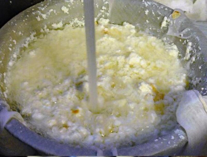 How to Make Paneer (Indian Cheese) - picture
