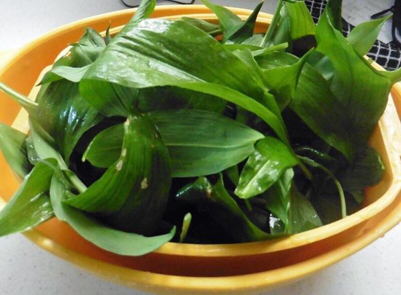 Chapati, Roti or Phulka (Indian Flatbread) with Wild Garlic Leaves  - picture